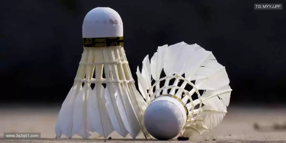 🎯冠军装备,让热爱触手可及!🏆🎁